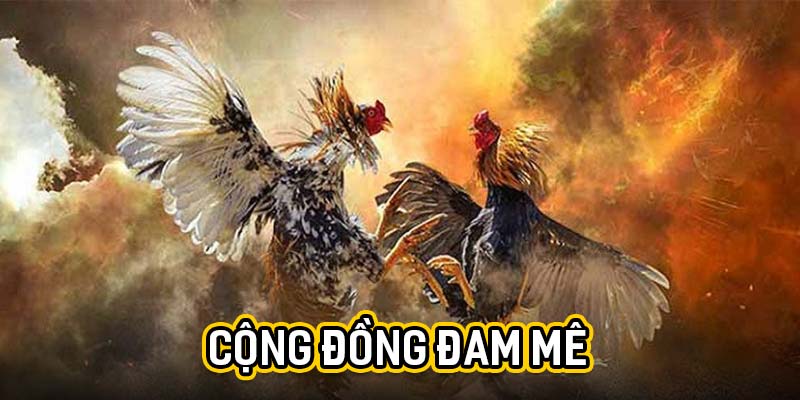 Cộng đồng đam mê