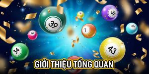 Giới thiệu tổng quan
