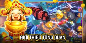Giới thiệu tổng quan