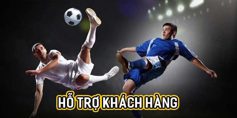 Hỗ trợ khách hàng