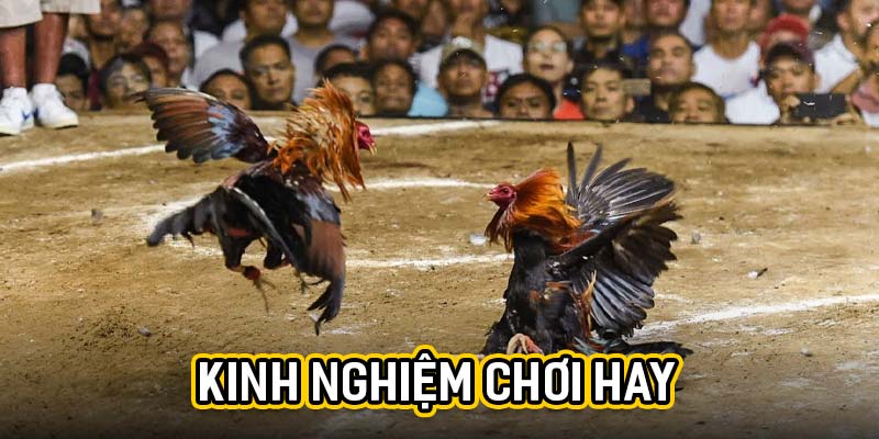 kinh nghiệm chơi hay