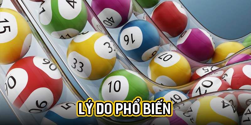 Lý do phổ biến