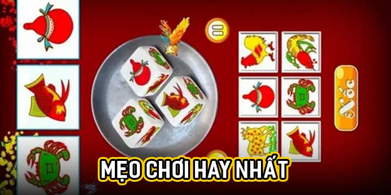 Mẹo chơi hay nhất