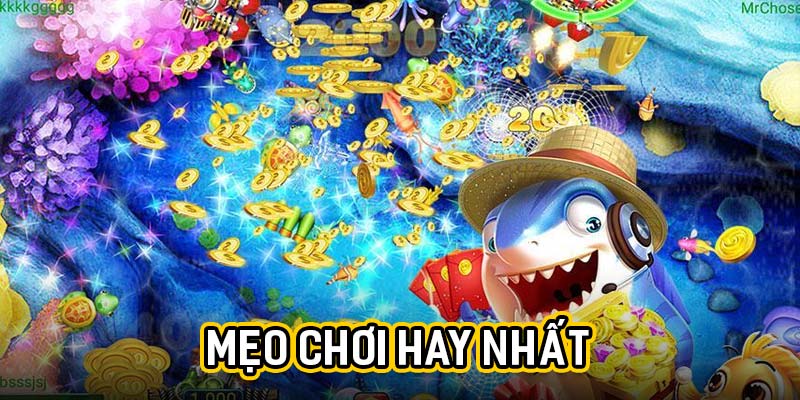 Mẹo chơi hay nhất