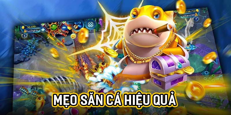 Mẹo săn cá hiệu quả