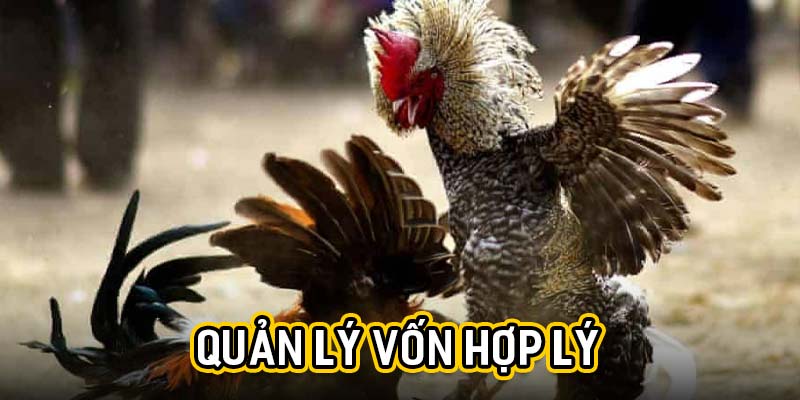 Quản lý vốn hợp lý