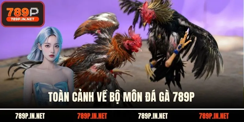 Toàn cảnh về bộ môn Đá gà 789P