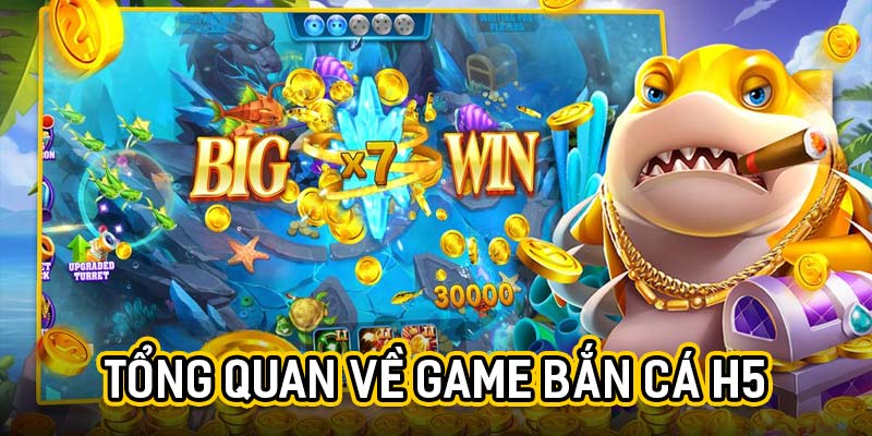 Tổng quan về game bắn cá H5