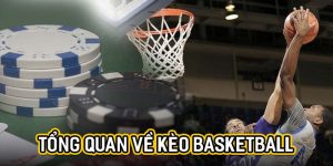 Tổng quan về kèo basketball 