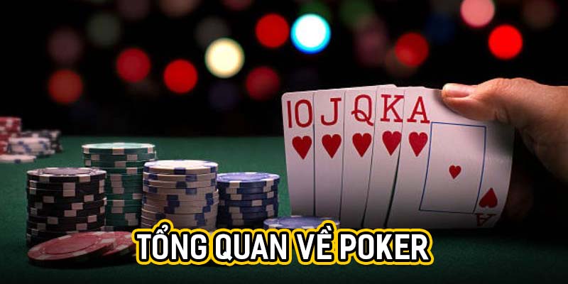 Tổng quan về poker