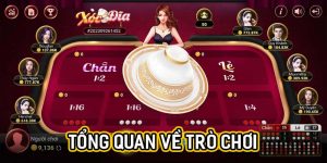 Tổng quan về trò chơi