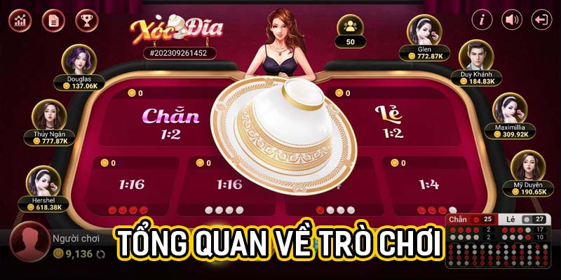Tổng quan về trò chơi