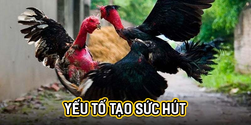 Yếu tố tạo sức hút