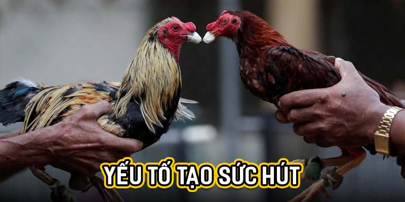 Yếu tố tạo sức hút